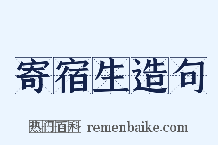 寄宿生造句是什么意思的图片